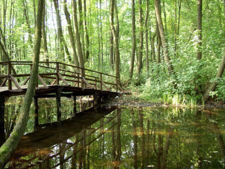 Landgasthof Zum Muehlenteich Eggersdorf  Bagian luar foto